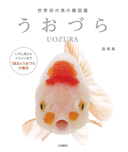 うおづら