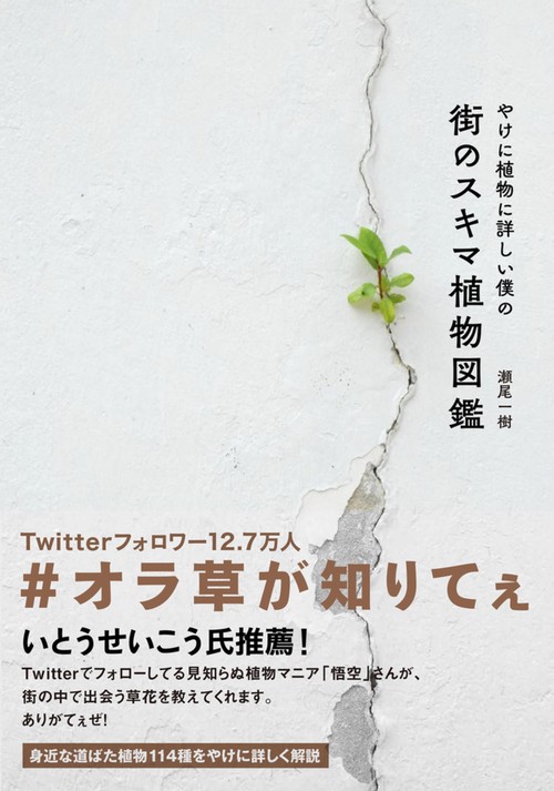 やけに植物に詳しい僕の街のスキマ植物図鑑