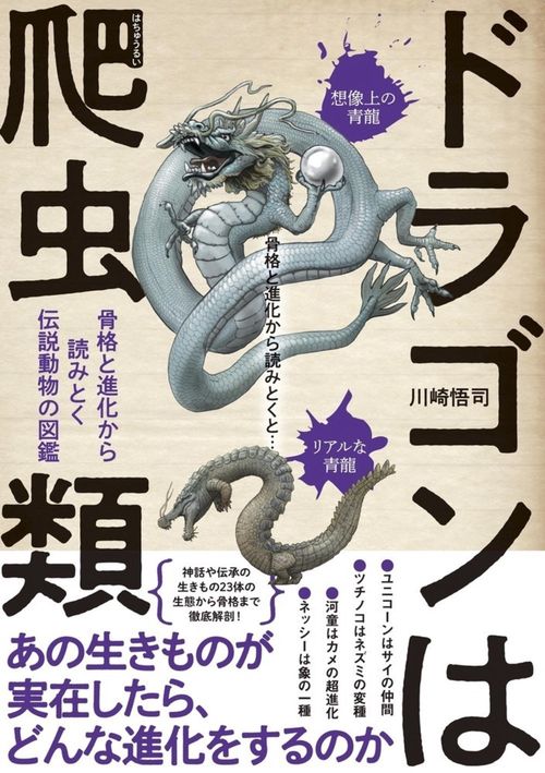 ドラゴンは爬虫類