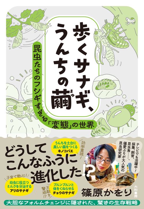 歩くサナギ、うんちの繭
