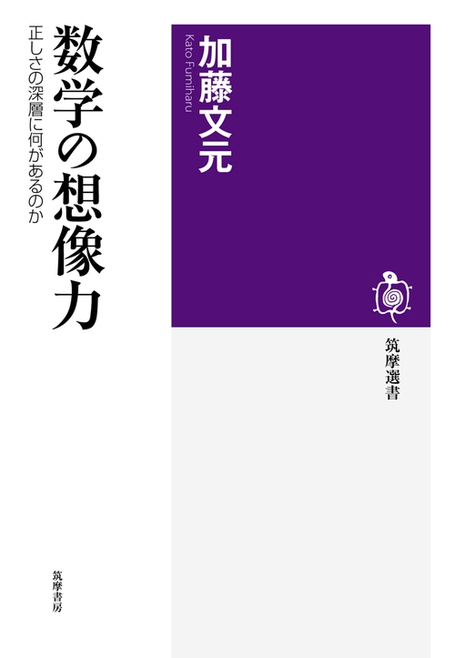 数学の想像力 正しさの深層に何があるのか