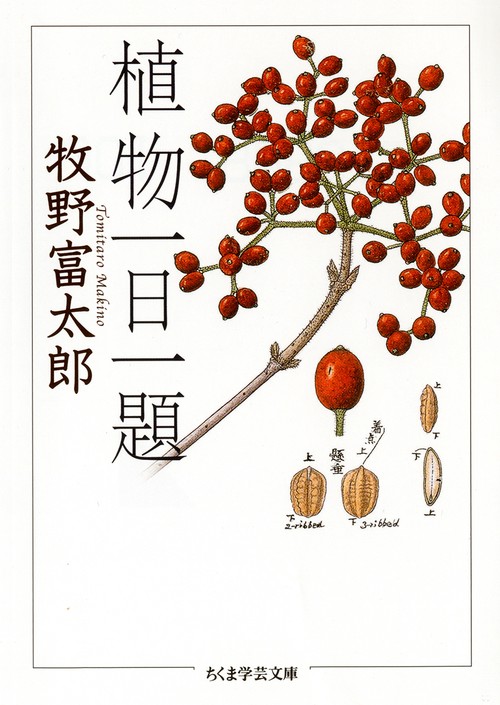 植物一日一題