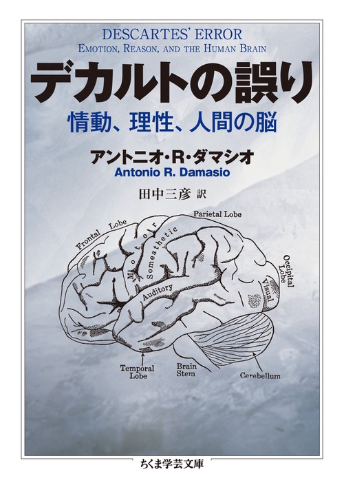デカルトの誤り 情動、理性、人間の脳