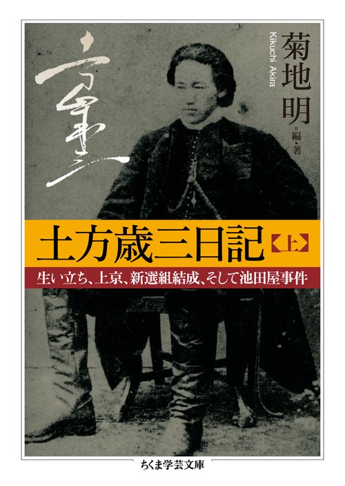 土方歳三日記 上