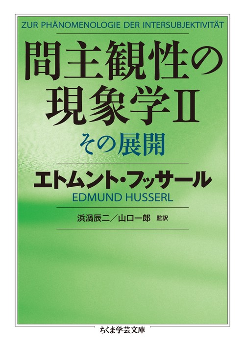 間主観性の現象学 2
