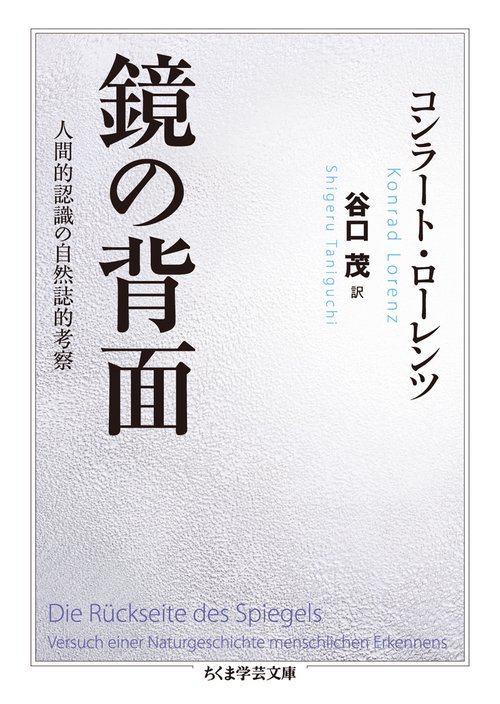 鏡の背面