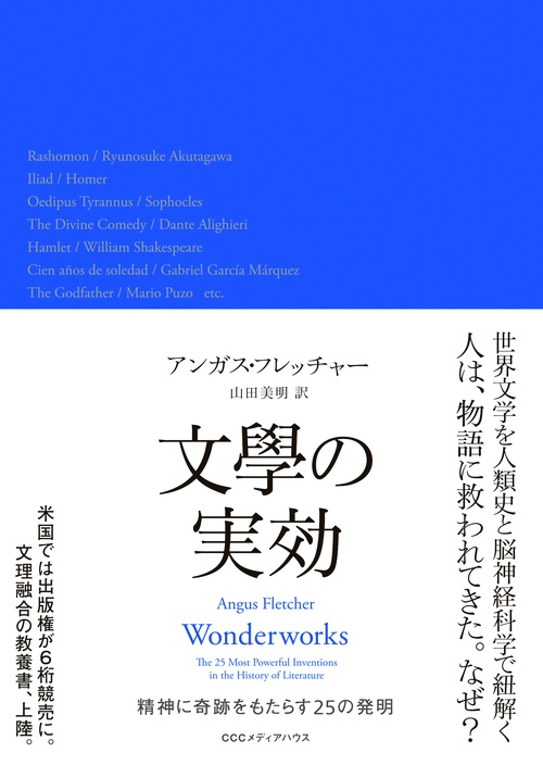 文學の実効