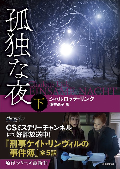 孤独な夜 下