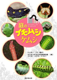 庭のイモムシ・ケムシ