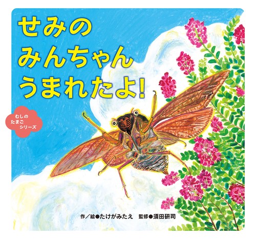 せみの　みんちゃん　うまれたよ！