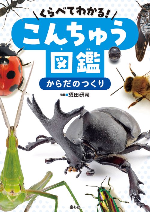 くらべてわかる！こんちゅう図鑑からだのつくり
