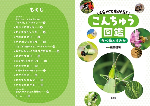 くらべてわかる！こんちゅう図鑑　食べ物とすみか