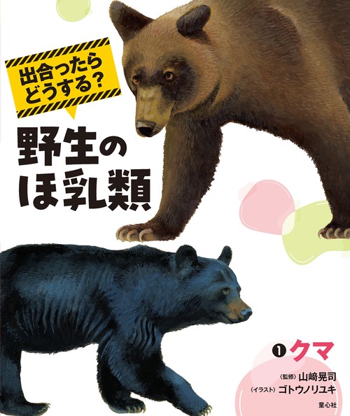 出合ったらどうする？　野生のほ乳類　①クマ