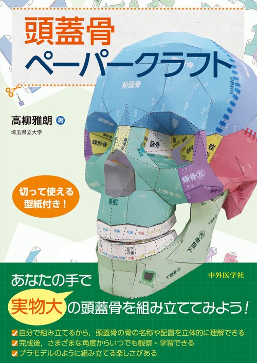 頭蓋骨ペーパークラフト