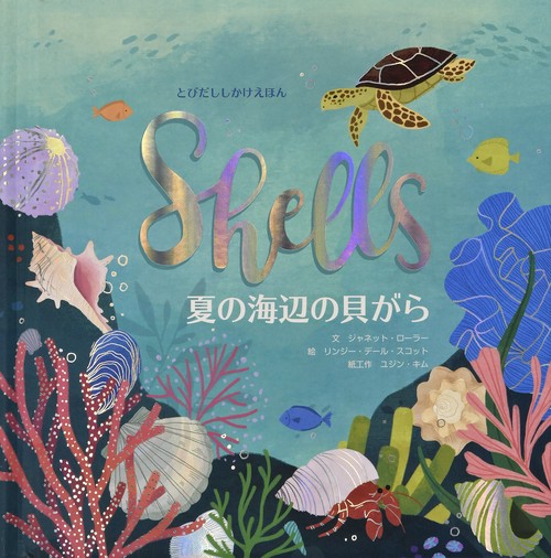 夏の海辺の貝がら