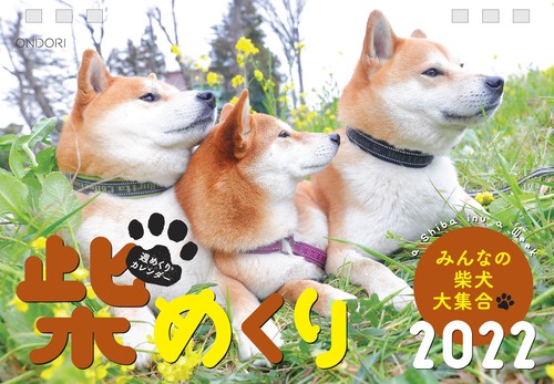 柴めくり2022