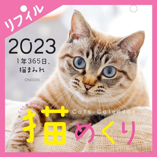 Cats Calendar 猫めくり リフィル2023