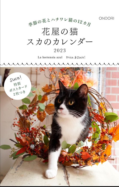 花屋の猫　スカのカレンダー2023