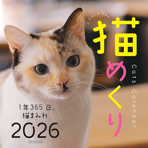 Cats Calendar　猫めくり2026