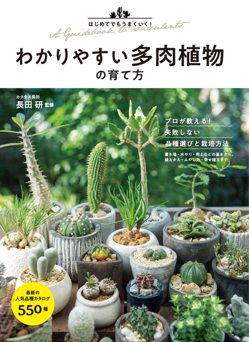 はじめてでもうまくいく！わかりやすい多肉植物の育て方