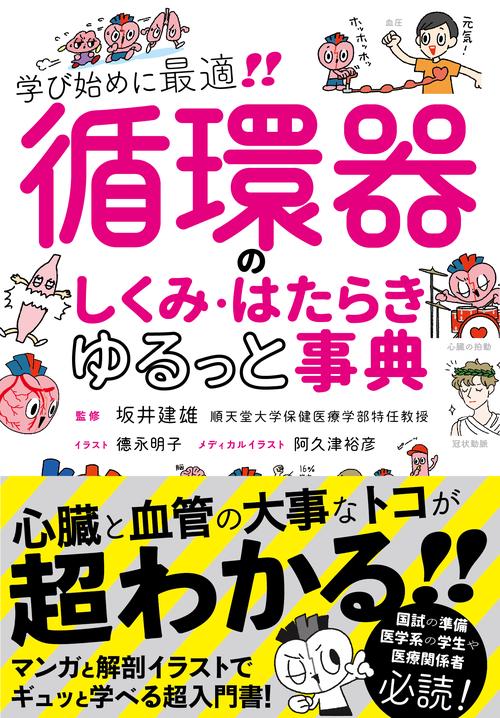 循環器のしくみ・はたらき　ゆるっと事典