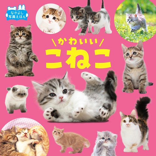 かわいいこねこ