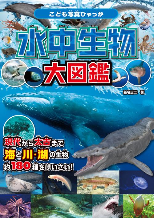 水中生物大図鑑