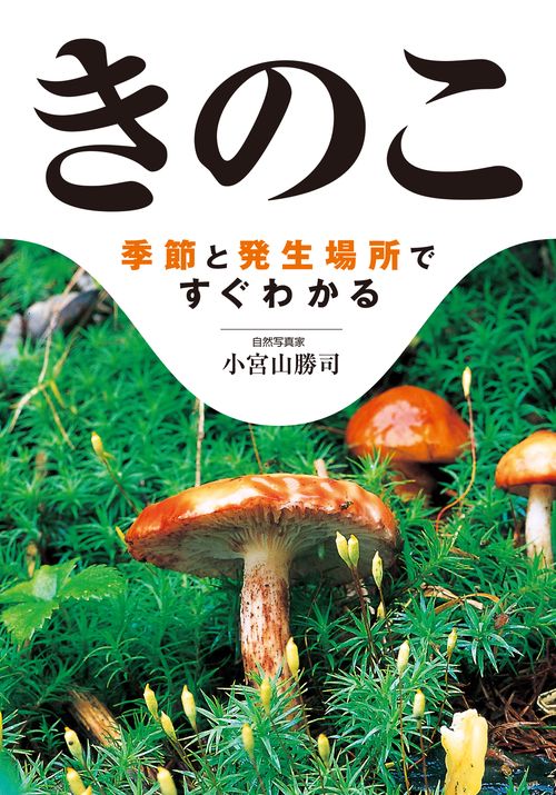 きのこ