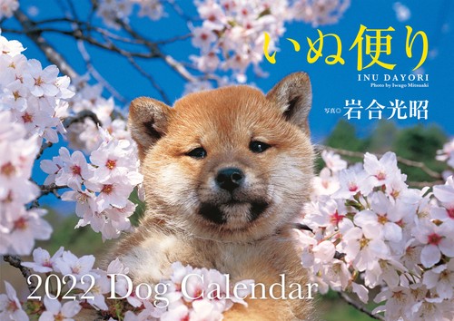 いぬ便り　2022　Dog　Calendar　【S12】