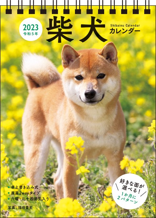 2023　柴犬カレンダー　卓上書き込み式　［B6タテ］　【S3】