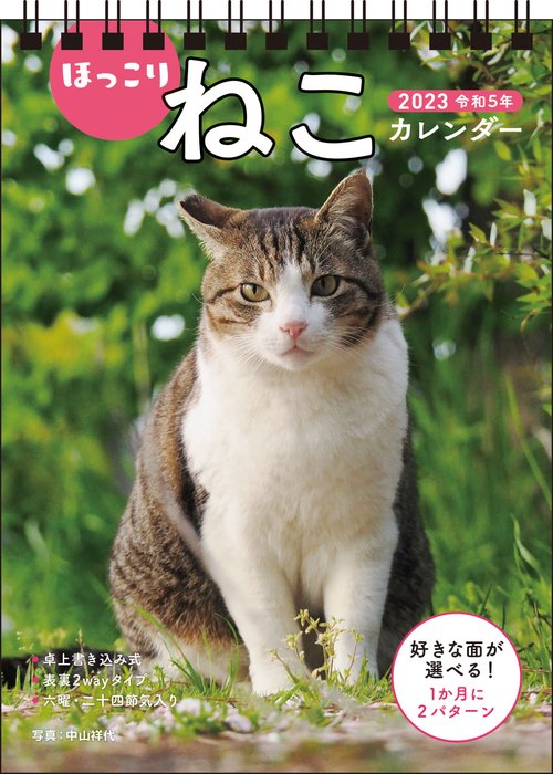 2023　ほっこりねこカレンダー　卓上書き込み式　［B6タテ］　【S4】