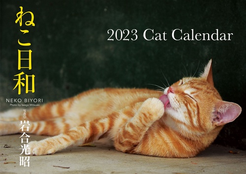 ねこ日和　2023　Cat Calendar　【S13】