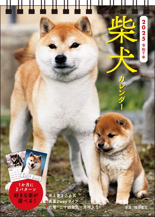【S3】　2025　柴犬カレンダー　卓上書き込み式［B6タテ]
