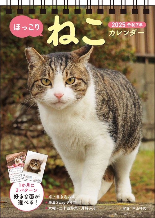 【S4】　2025　ほっこりねこカレンダー　卓上書き込み式　［B6タテ］