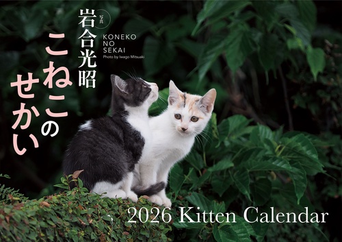 【S17】　こねこのせかい　2026　Kitten Calendar