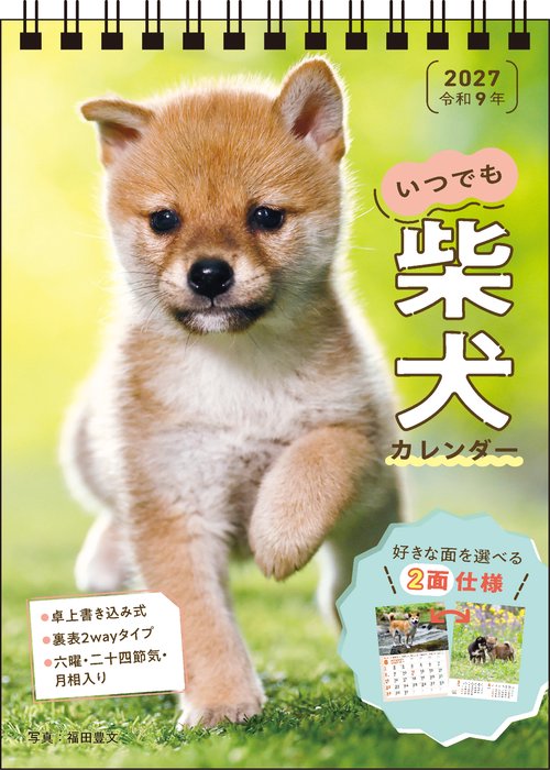 【S3】　2027　いつでも柴犬カレンダー　卓上書き込み式［B6タテ］