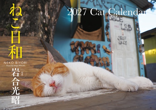 【S13】　ねこ日和　2027　Cat Calendar