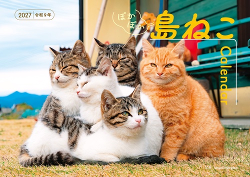 【S25】　2027　ぽかぽか島ねこカレンダー
