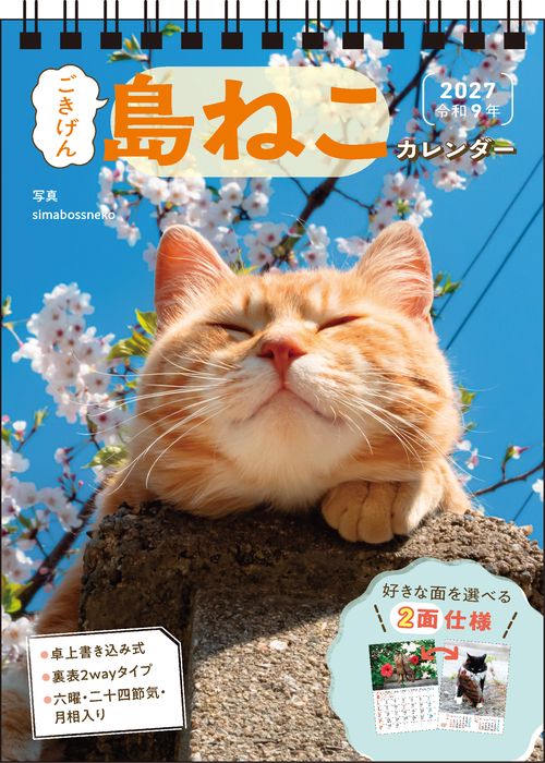 【S26】　2027　ごきげん島ねこカレンダー　卓上書き込み式［B6タテ］