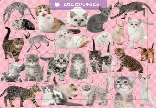C07　こねこ　だいしゅうごう　50ピース