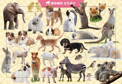 B08　ほのぼの　どうぶつ　35ピース