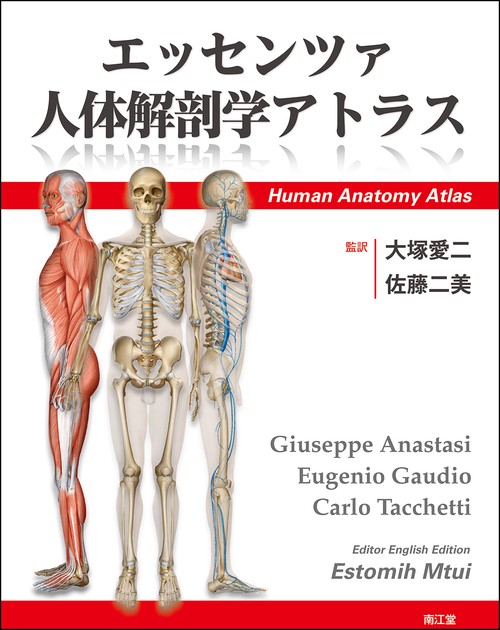 エッセンツァ人体解剖学アトラス