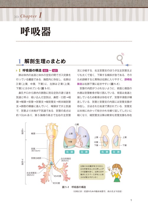 看護師国試対策START BOOK 解剖生理と疾病の特性