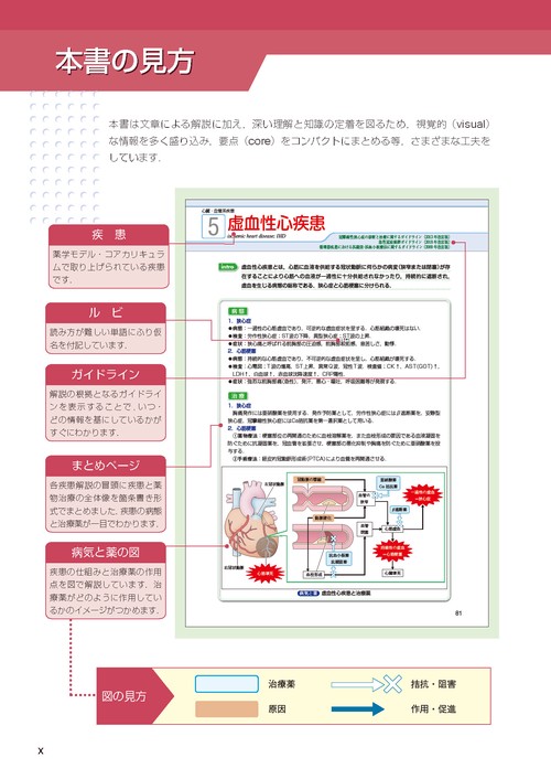 visual core pharma　薬物治療学