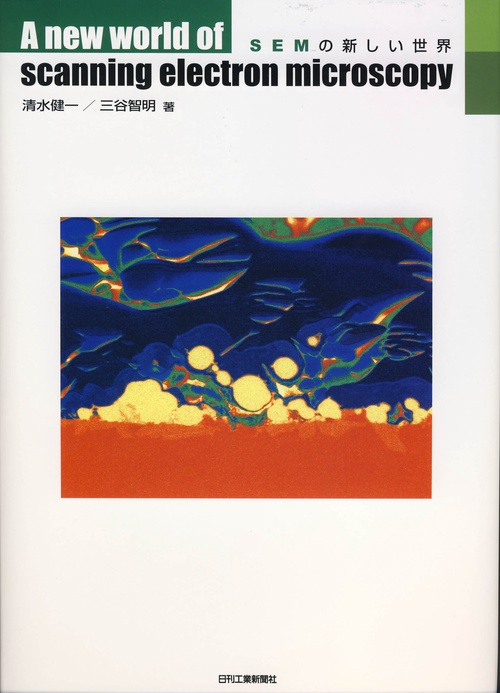 SEMの新しい世界