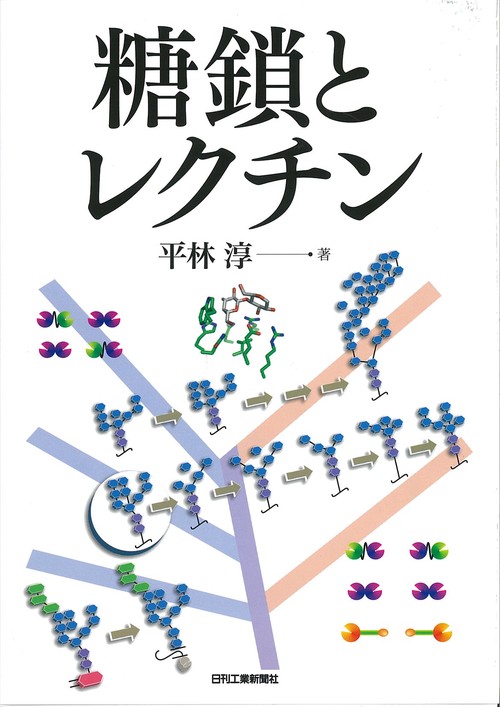 糖鎖とレクチン