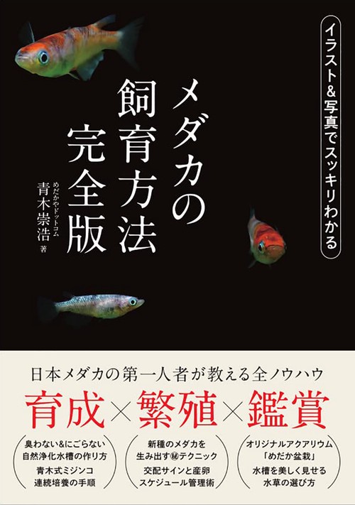 メダカの飼育方法　完全版