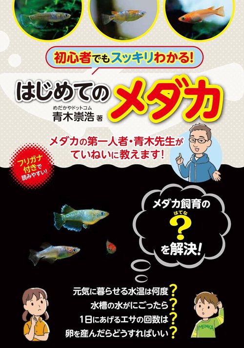 小学生でも安心！はじめてのメダカ