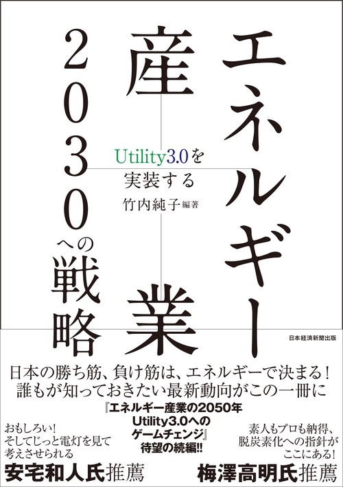エネルギー産業2030への戦略　