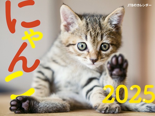 JTBのカレンダー にゃんこ 2025 壁掛け 猫